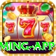 999R Mega Gaming App