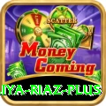 aliya riaz Money Master v4.6.2