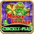 all cricket Slots Prime v5.4.0