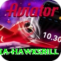 antigua hawksbill Plus Edition v2.6.3
