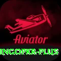 bingopkr Premium Edition v3.7.1