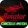 cricket pitch Master v4.3.5