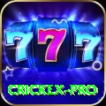crickex - Slots Max