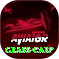 grass carp Plus Pro v1.4.1