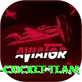 hong kong cricket team Plus Edition v3.5.0