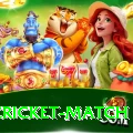 india cricket match Pro Edition v4.8.6