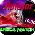 india south africa match Gold v3.1.1