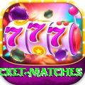 india upcoming cricket matches Premium v2.8.8