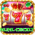 online cricket VIP Edition v1.3.1