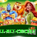 risk free bet cricket Deluxe v5.1.2