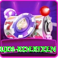 rudi koertzen Ultimate Pro v2.3.9