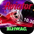 sehwag Max Pro v5.7.2