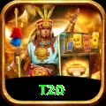 t20 Pro1 v1.4.7