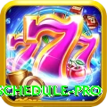 t20 match schedule Pro v2.3.3