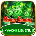 under 19 cricket world cup Deluxe Edition v1.3.5