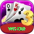 wc t20 Plus Pro v4.4.8