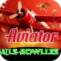 wicket hauls bowlers Premium v2.8.2