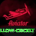 willow cricket Ultimate Pro v4.4.5