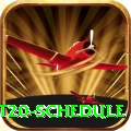 world cup t20 schedule Pro Edition v1.7.5